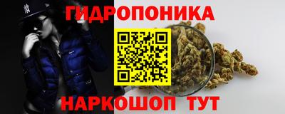 mdpv Заводоуковск