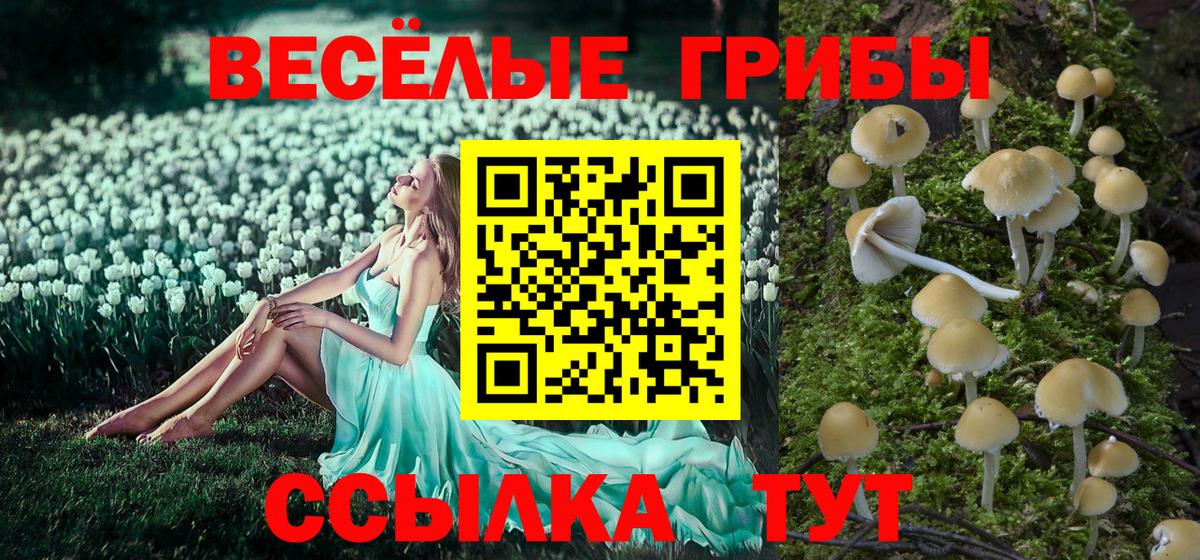 Михайловка  Галлюциногенные грибы Cubensis  Вход с VPN  Псилоцибиновые грибы GOLDEN TEACHER 